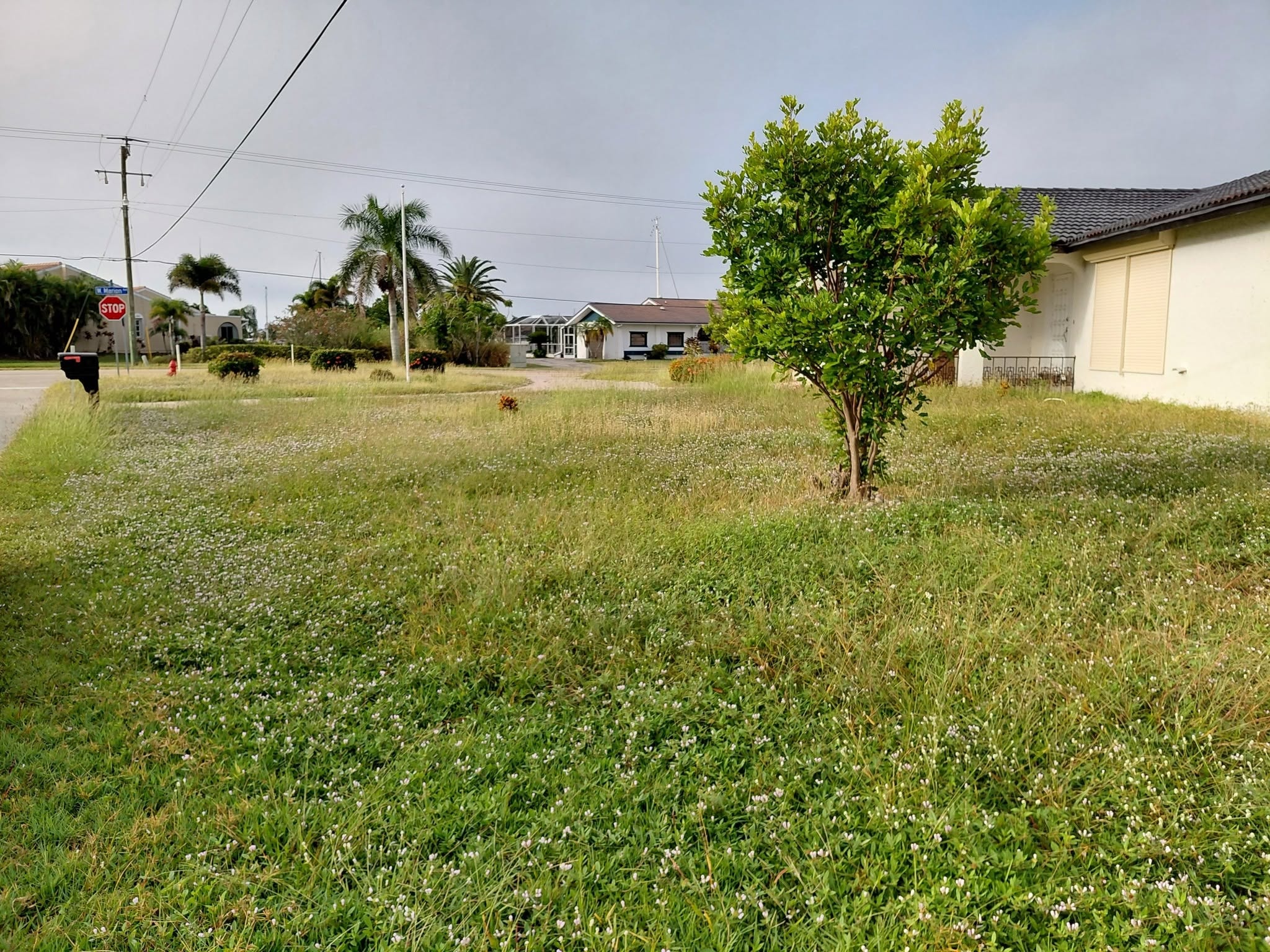 Before — Investment Property Clean-up
