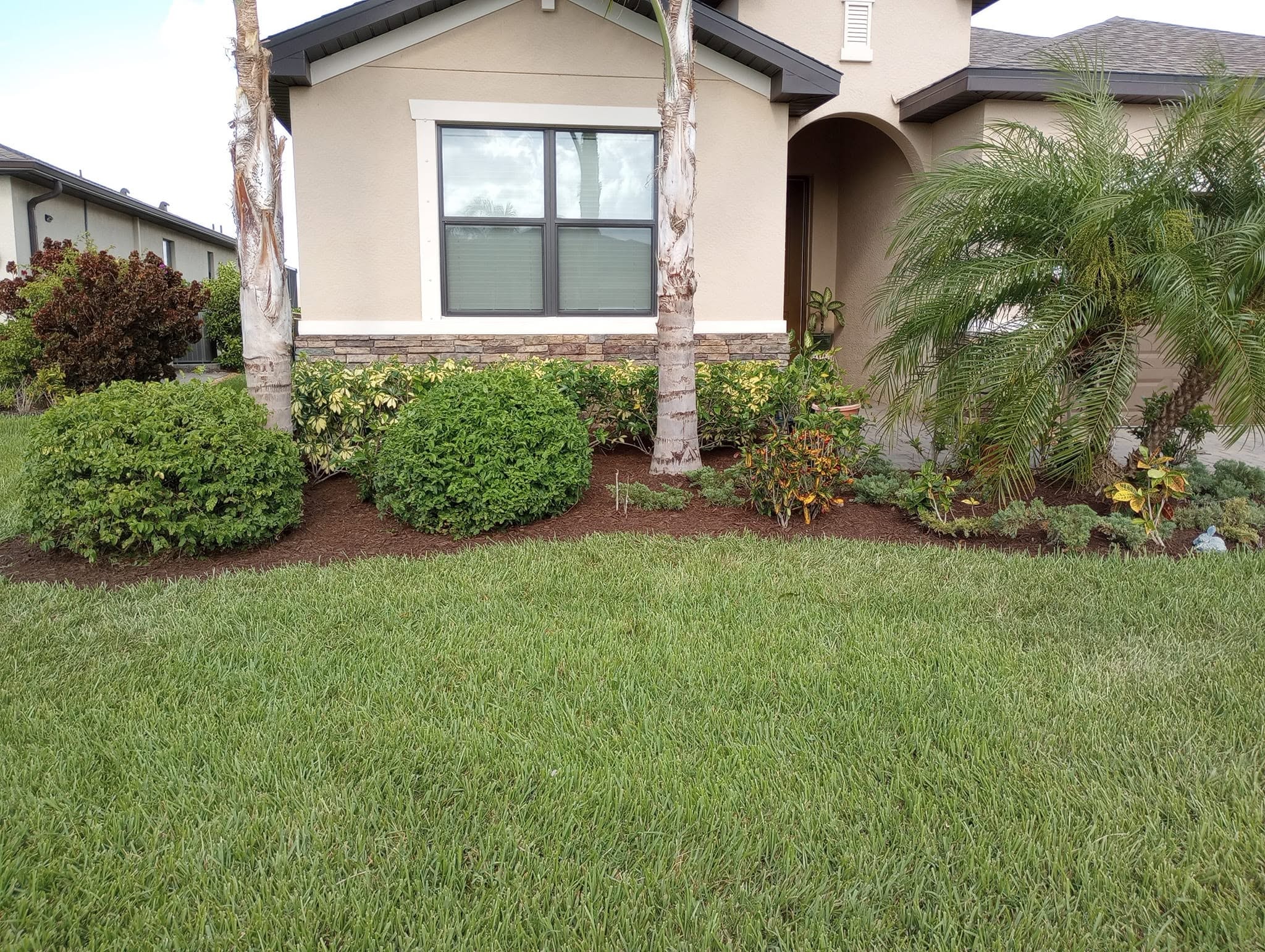 Professional landscaping services in Southwest Florida